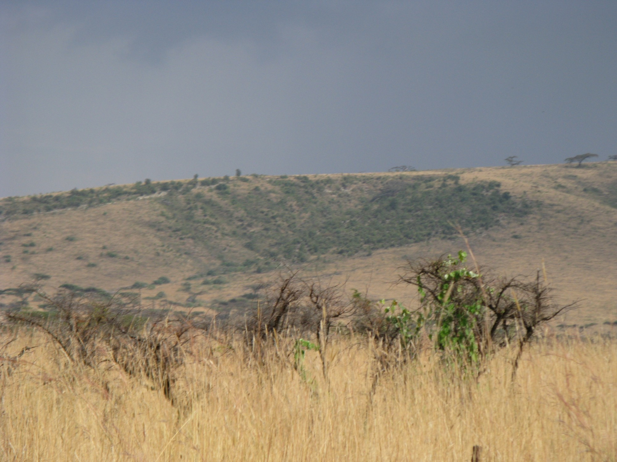 Ethiopia