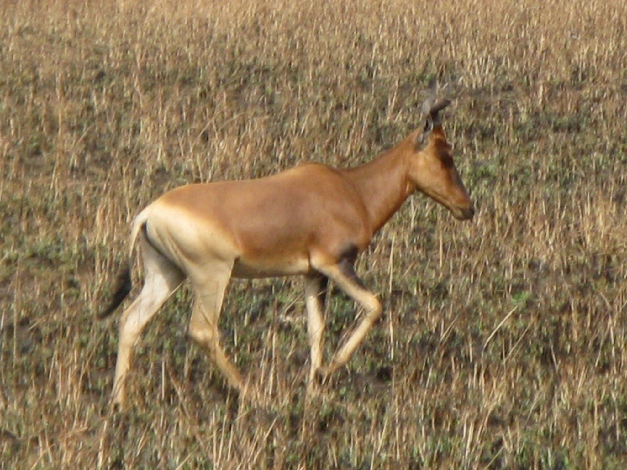 Ethiopia