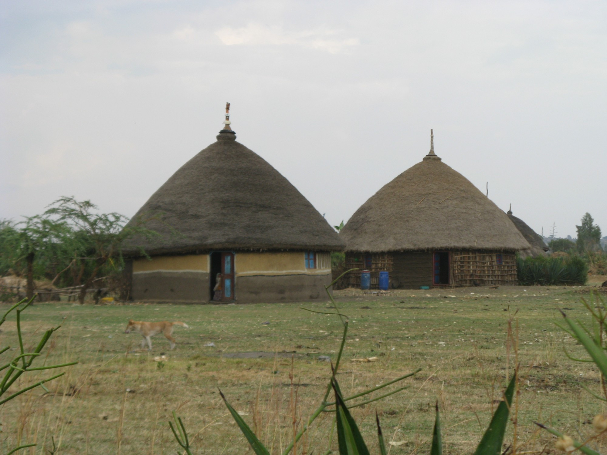 Ethiopia