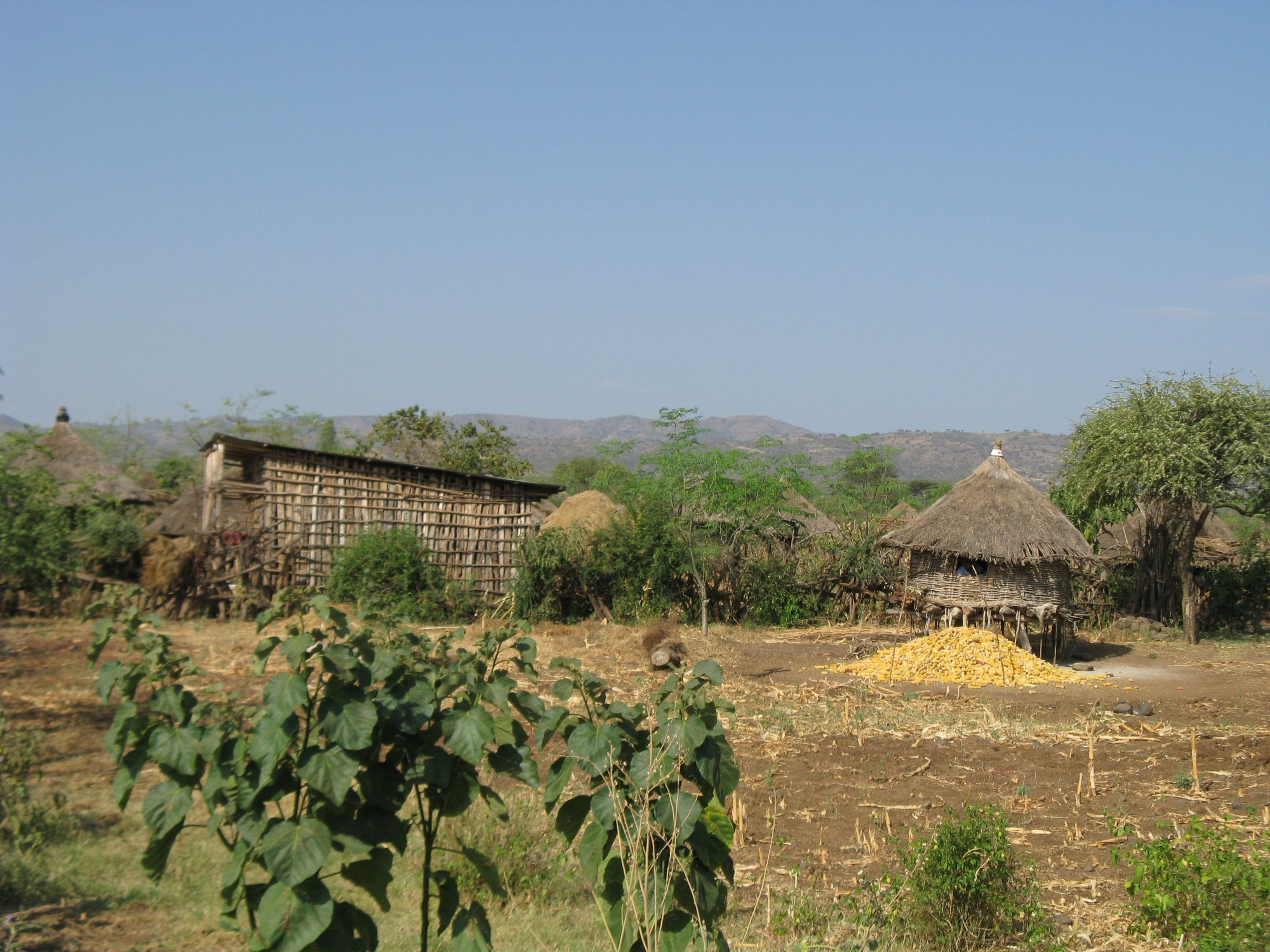 Ethiopia