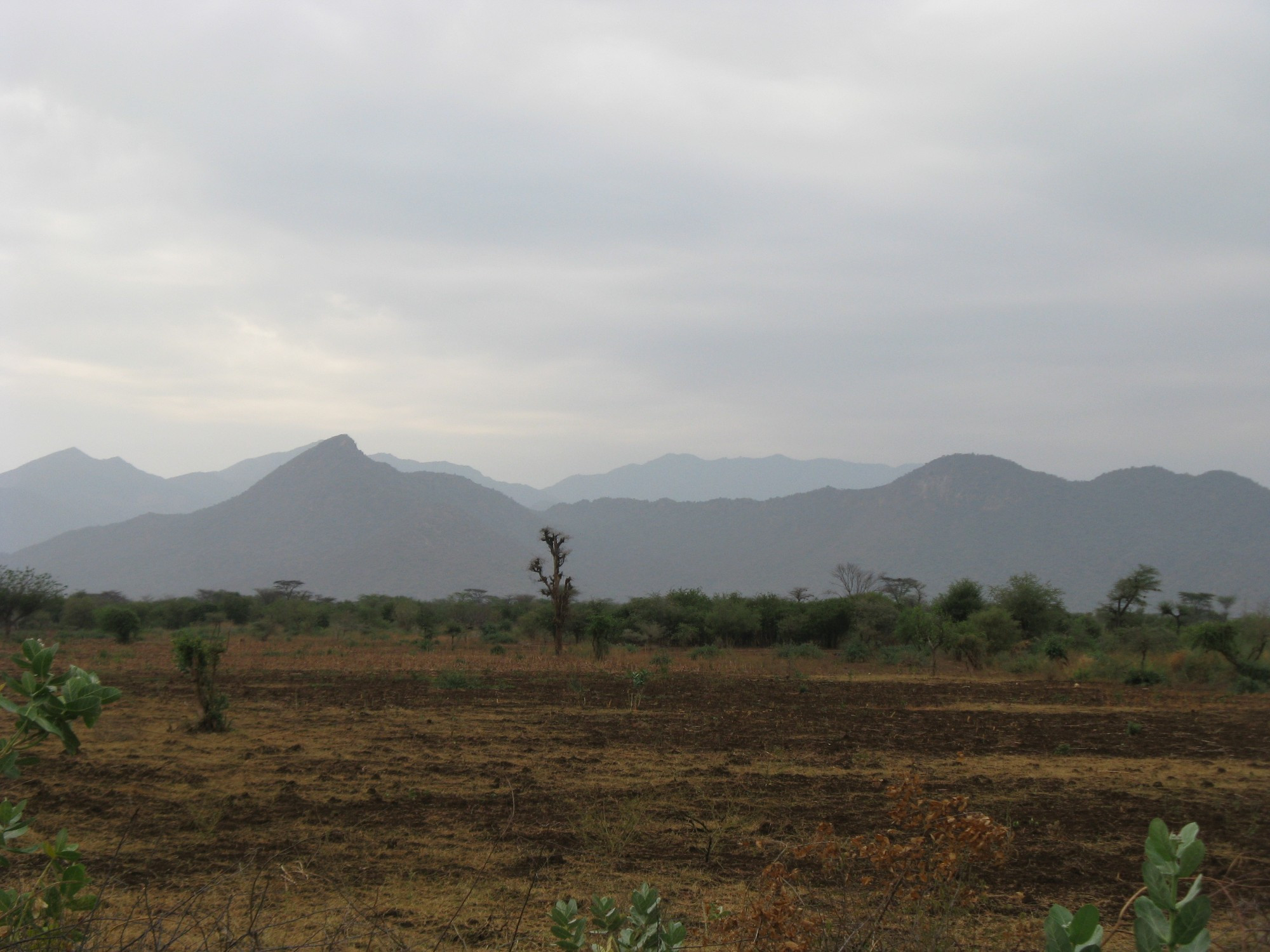 Ethiopia