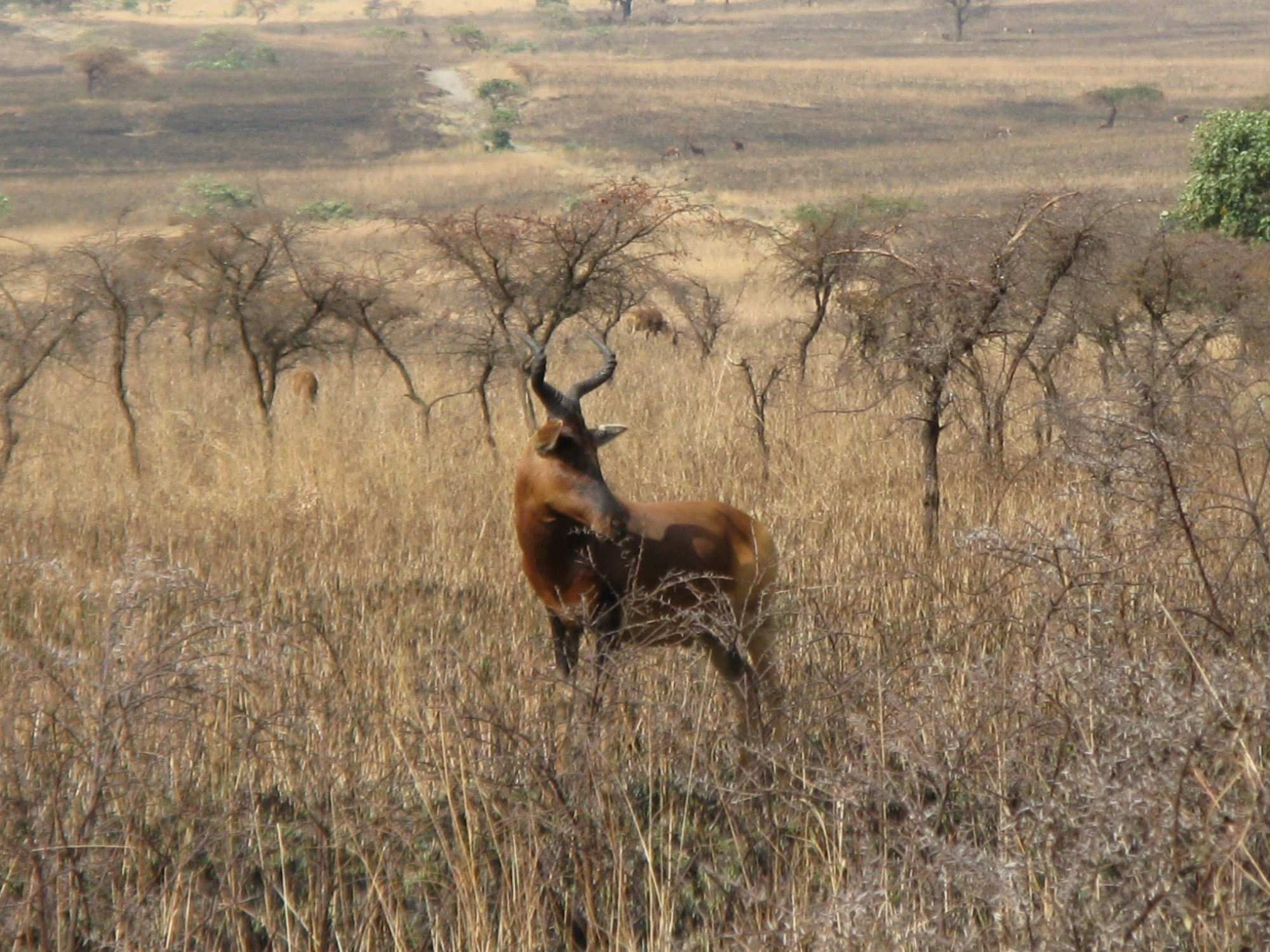 Ethiopia