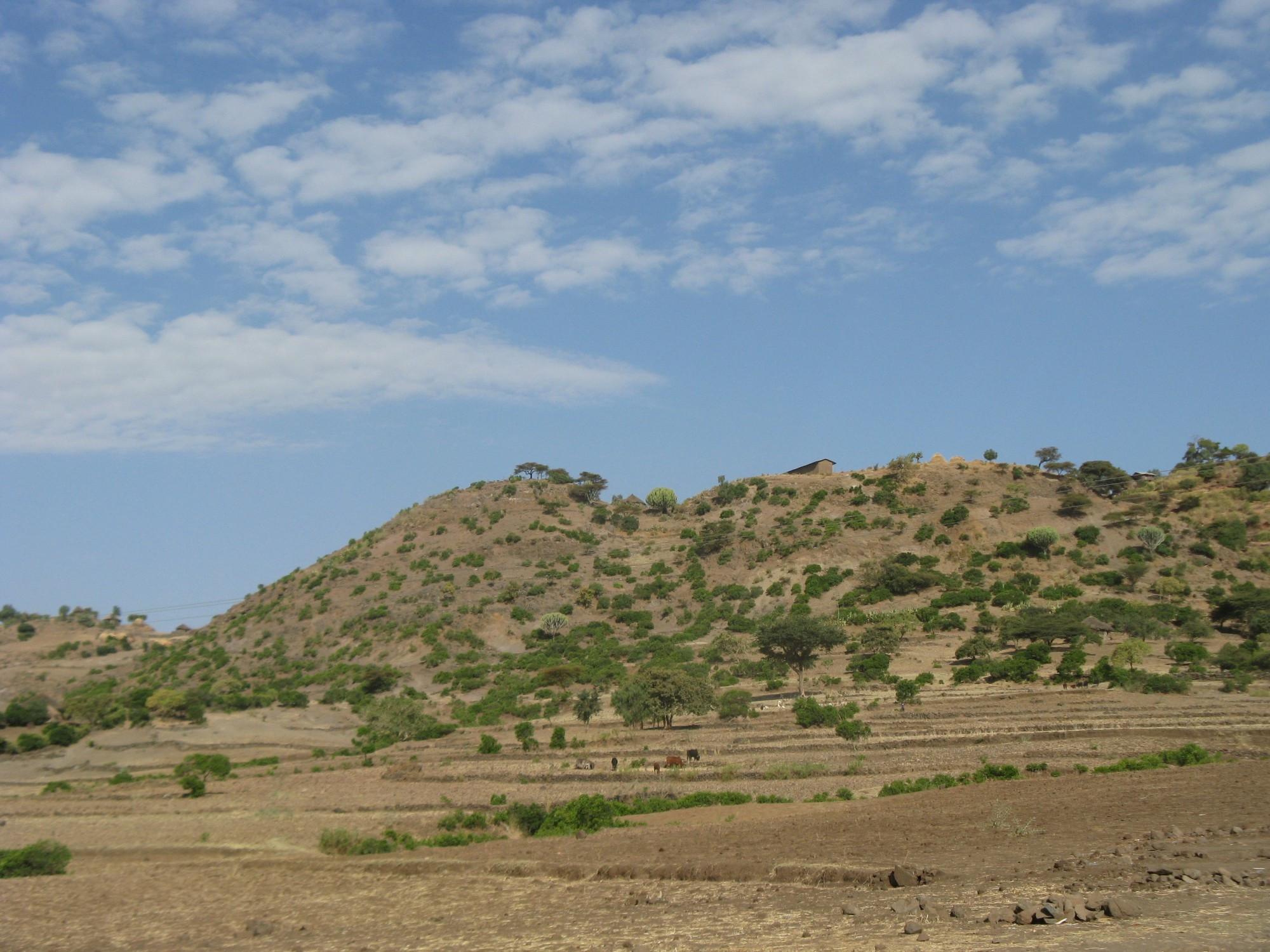 Ethiopia