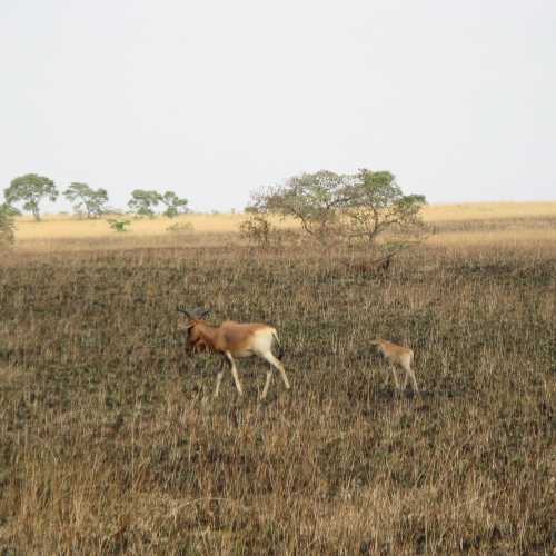 Ethiopia