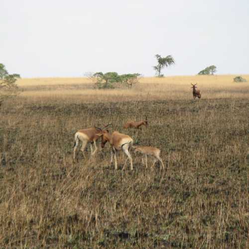 Ethiopia