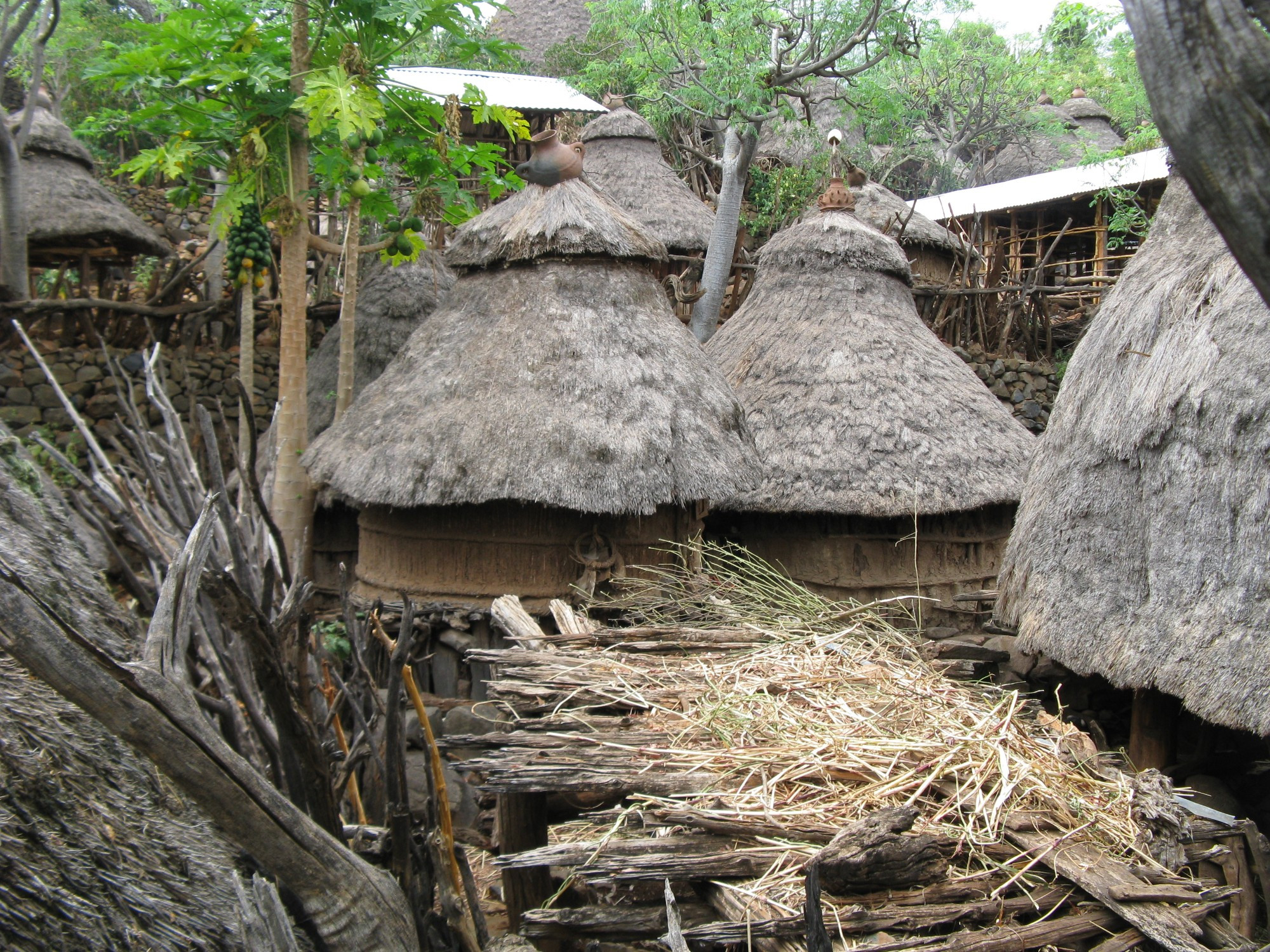 Ethiopia