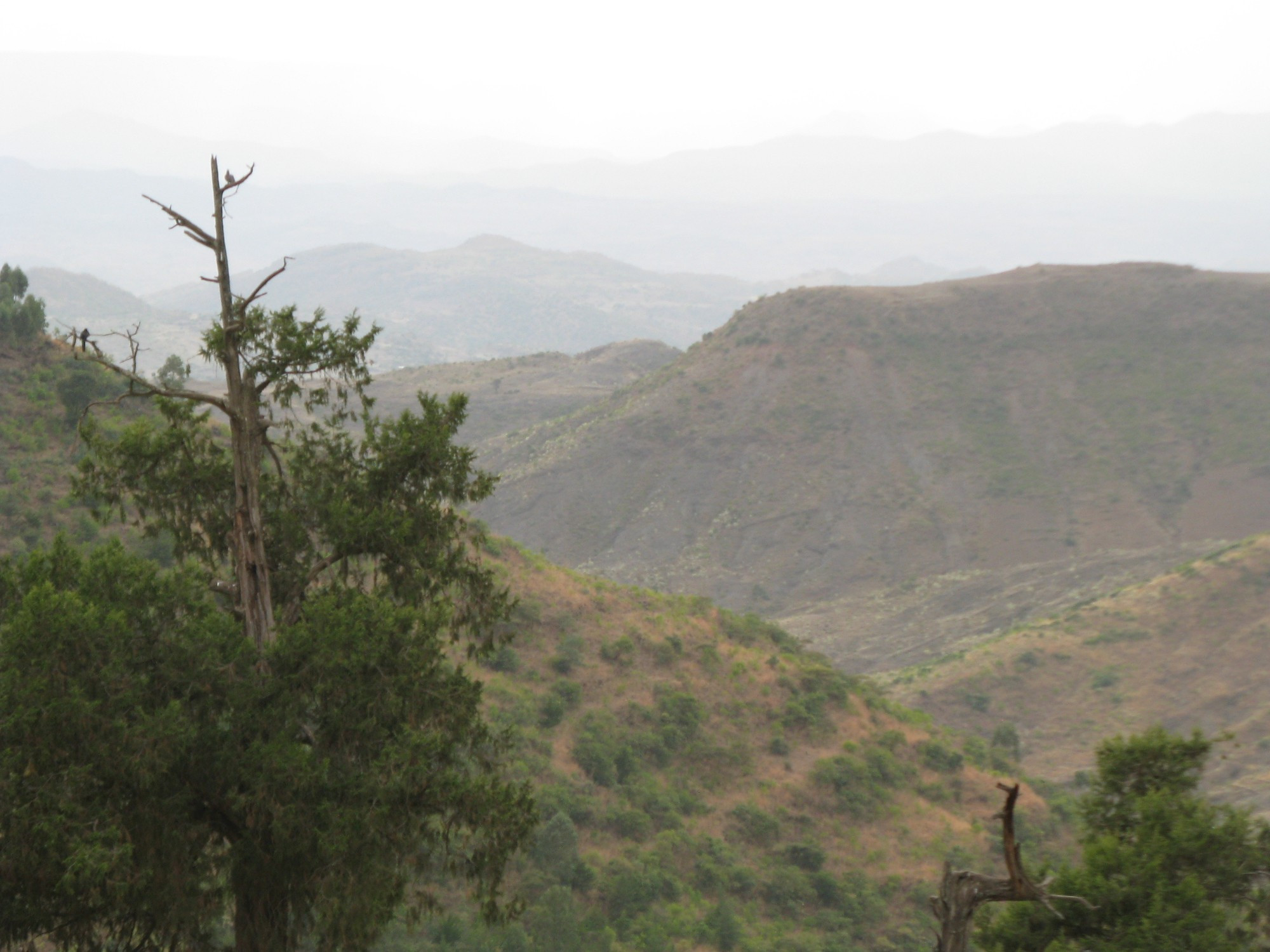 Ethiopia