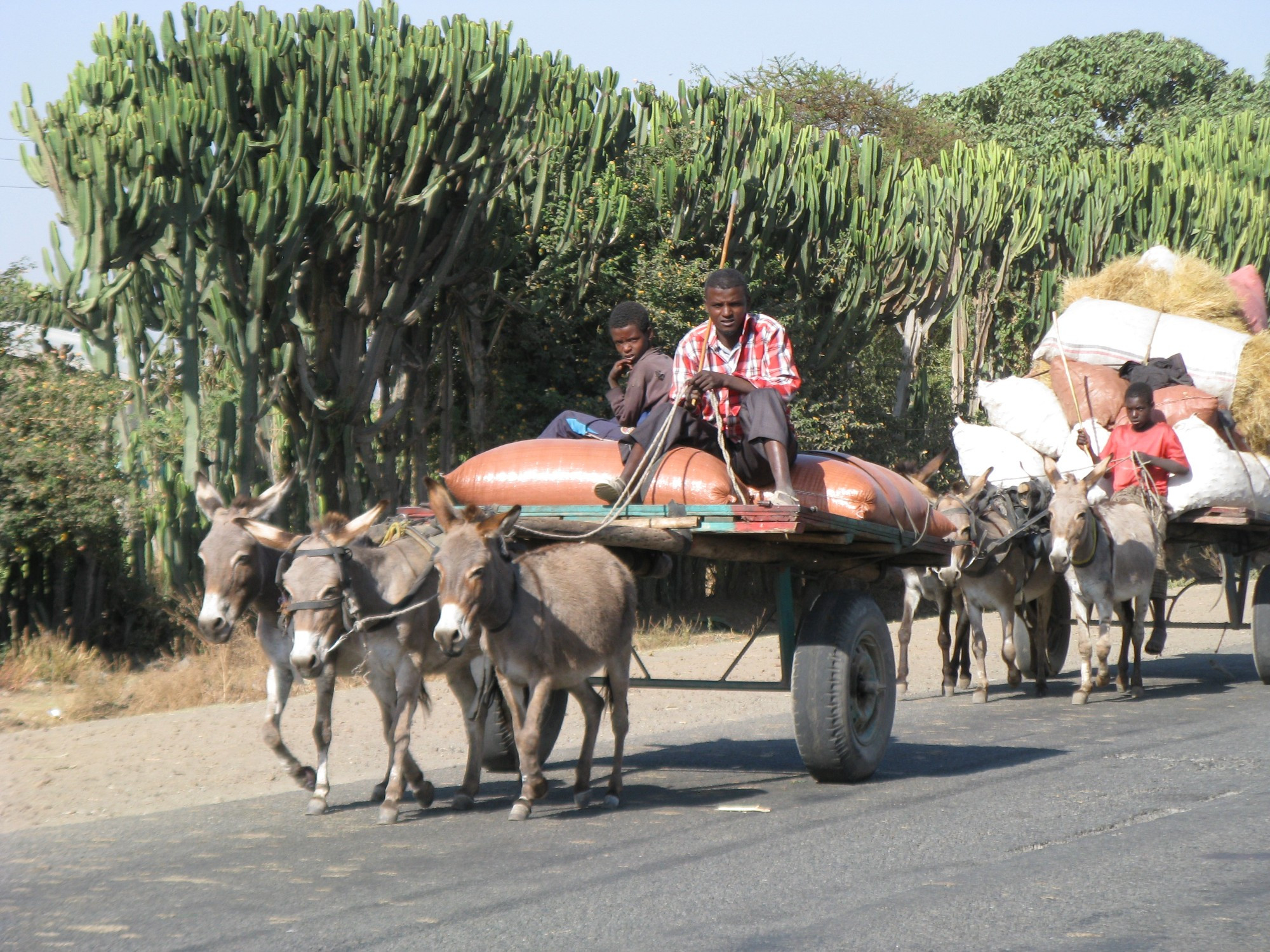 Ethiopia