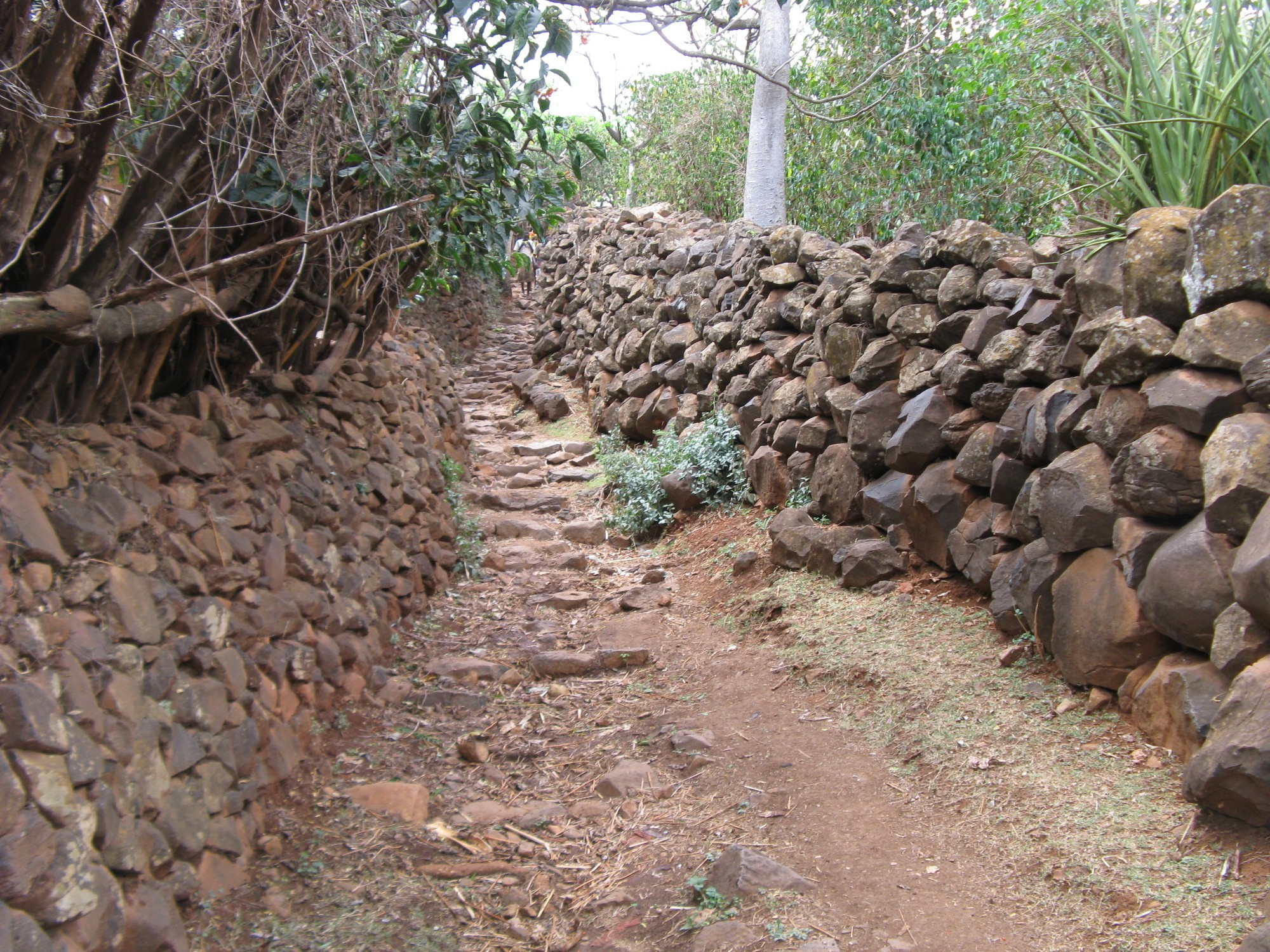 Ethiopia