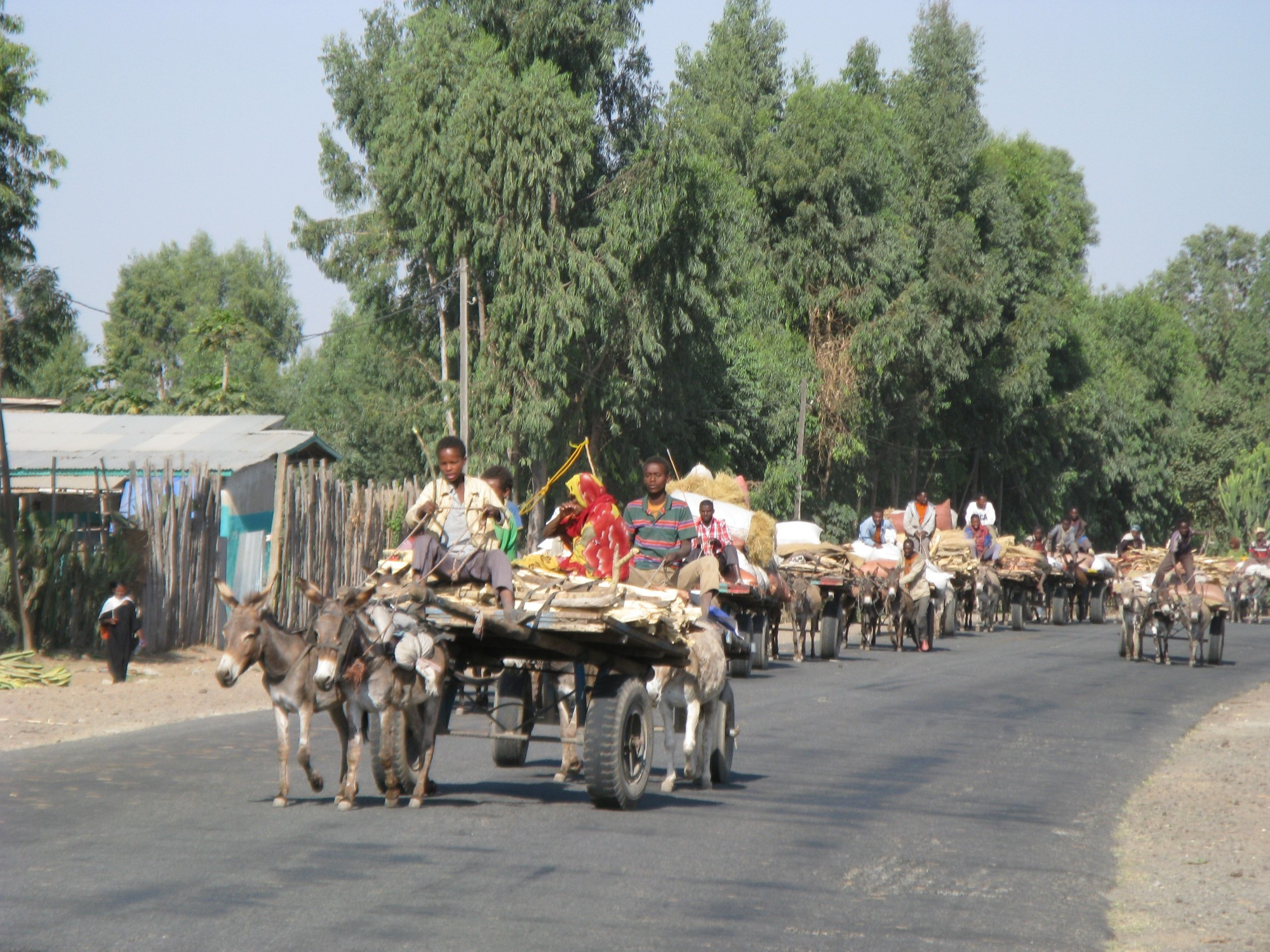 Ethiopia