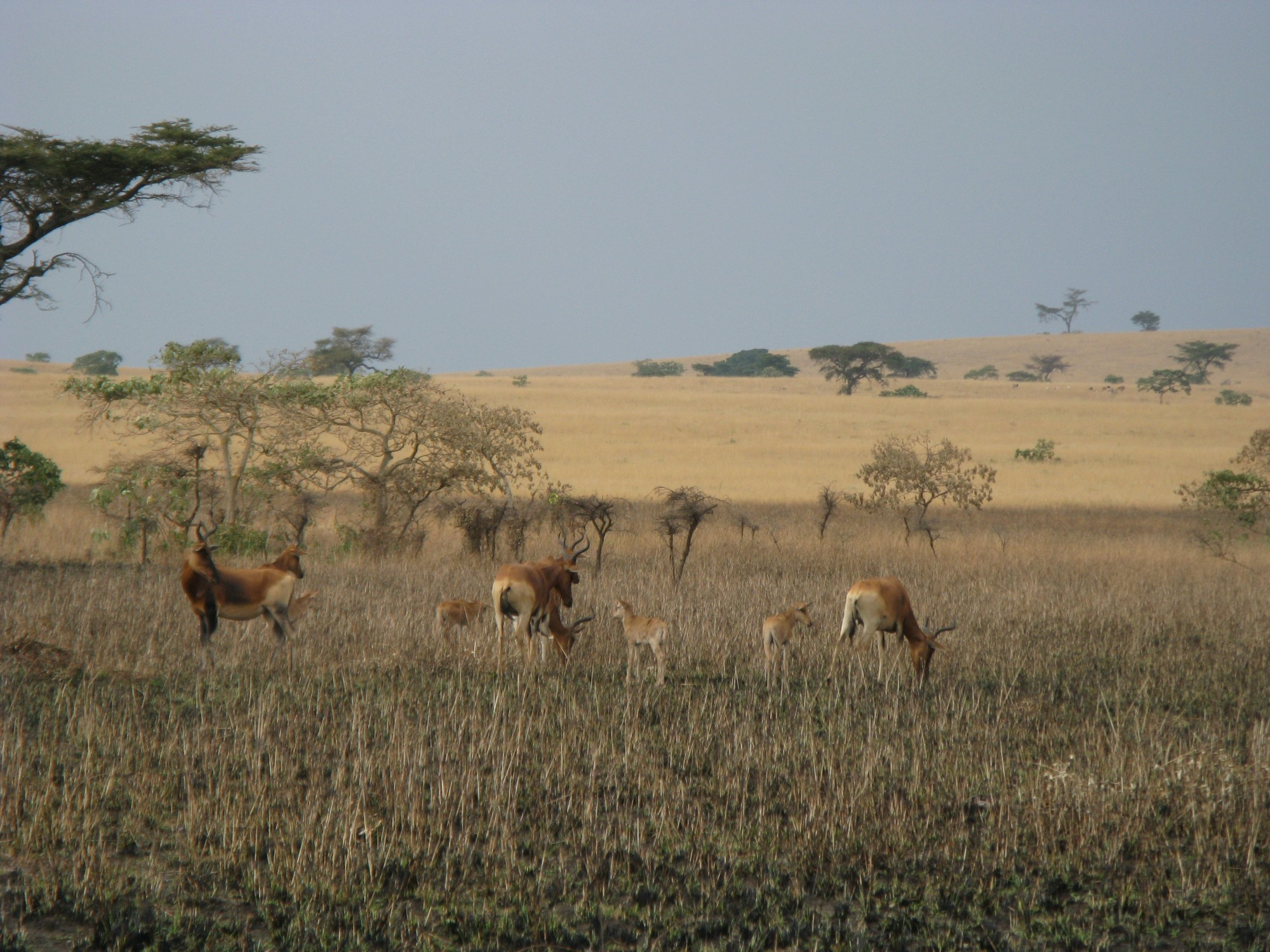 Ethiopia