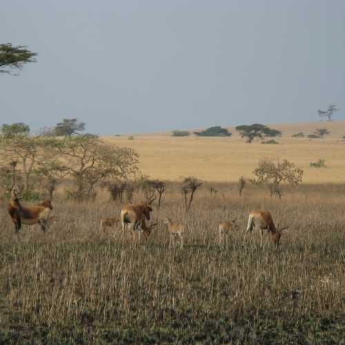 Ethiopia