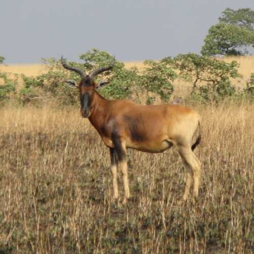 Ethiopia