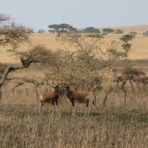 Ethiopia