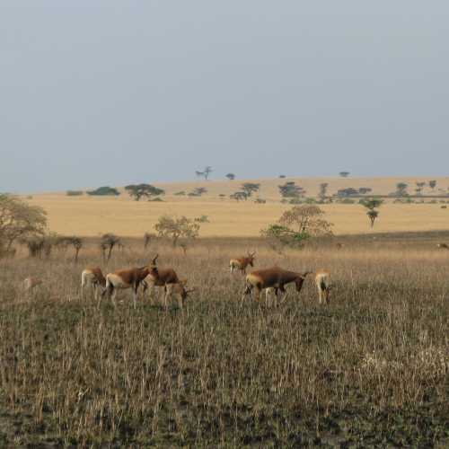 Ethiopia