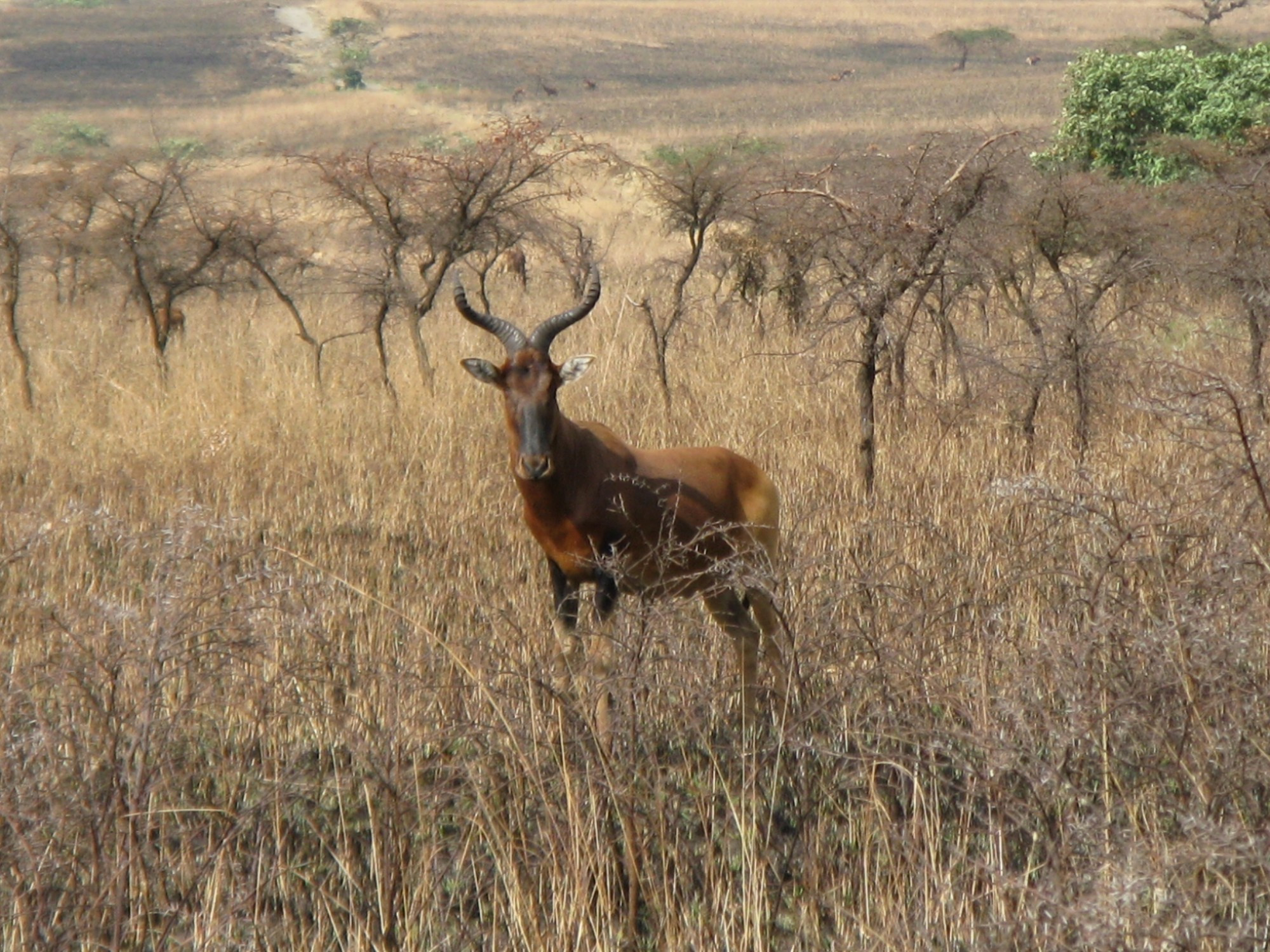 Ethiopia