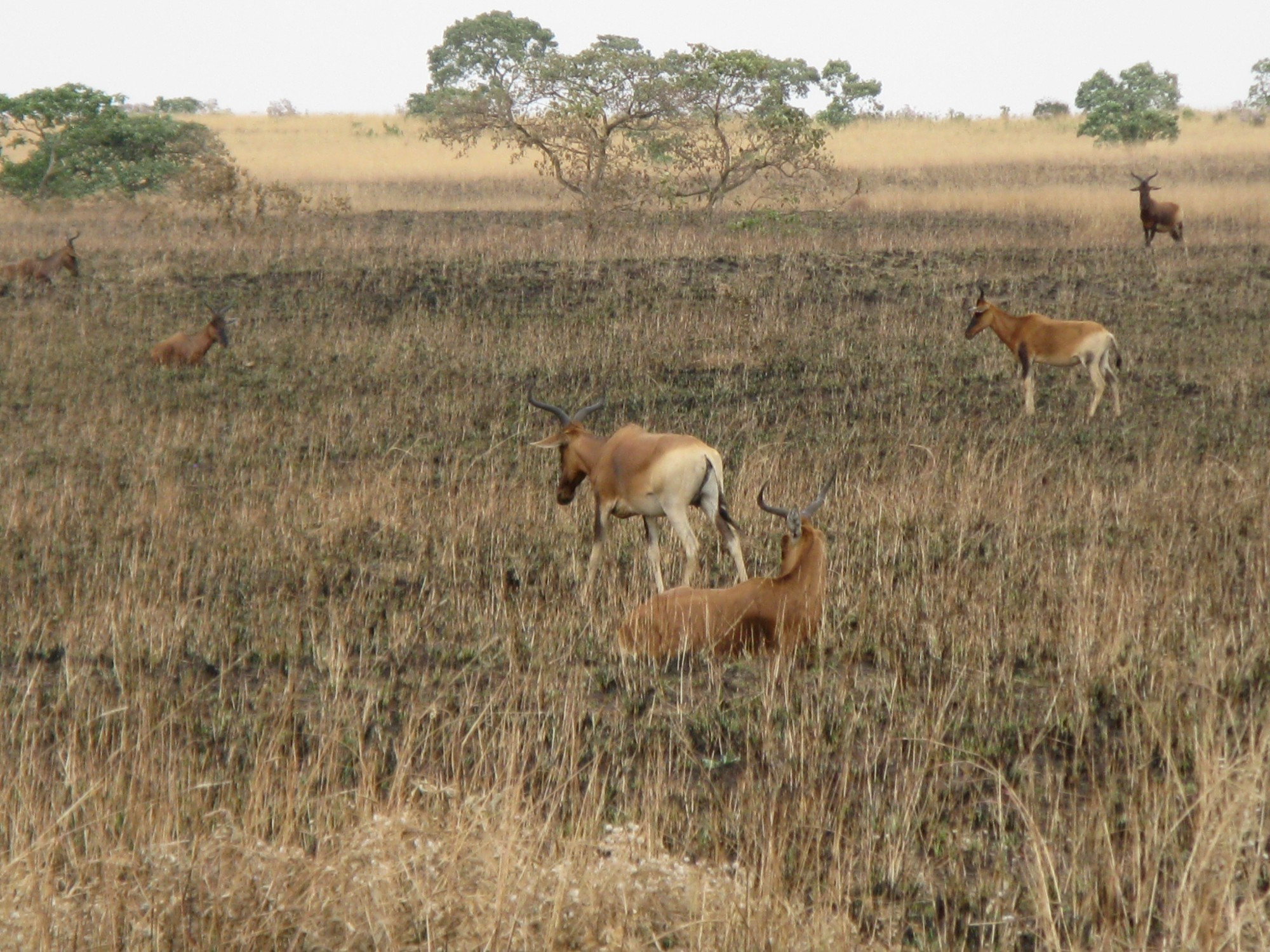 Ethiopia