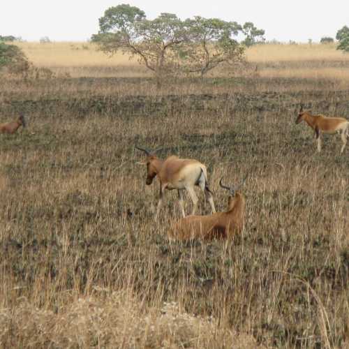 Ethiopia