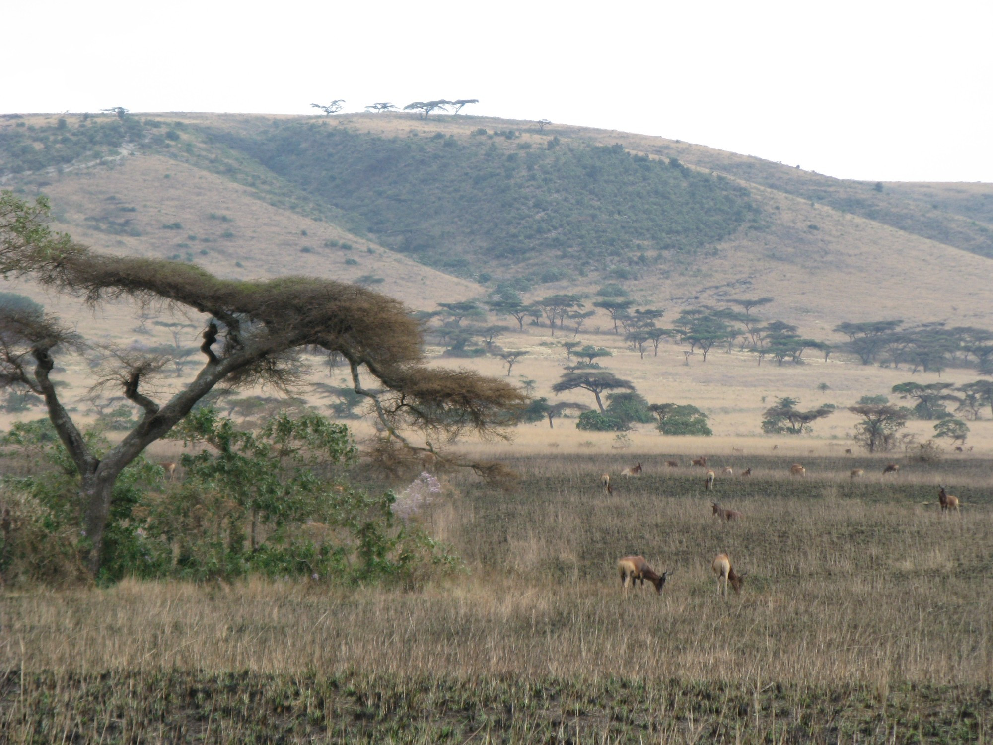 Ethiopia