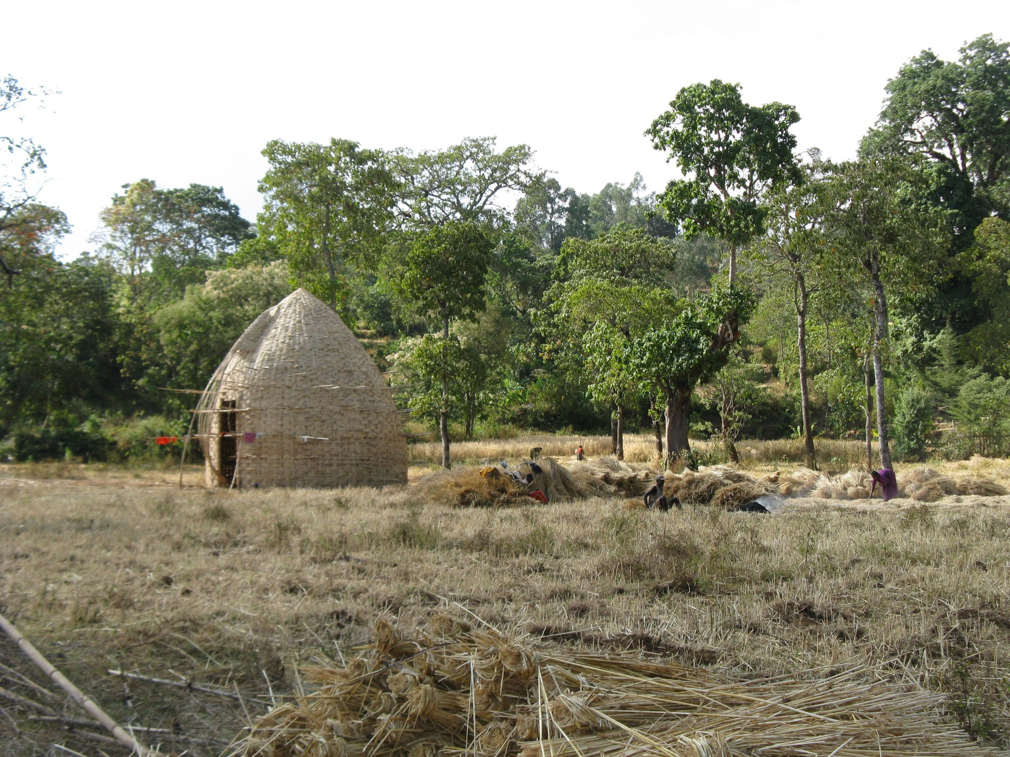 Ethiopia