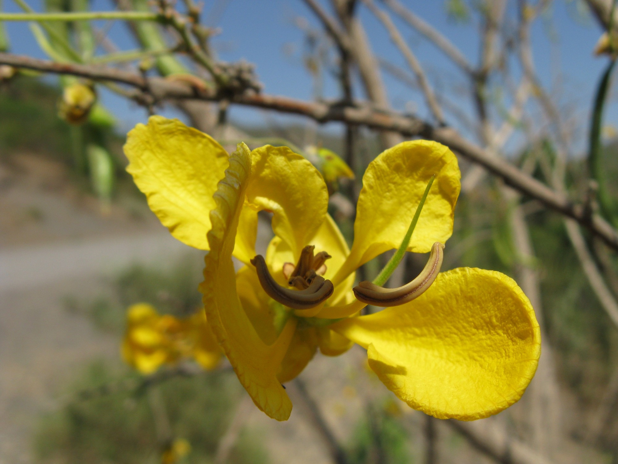 Ethiopia