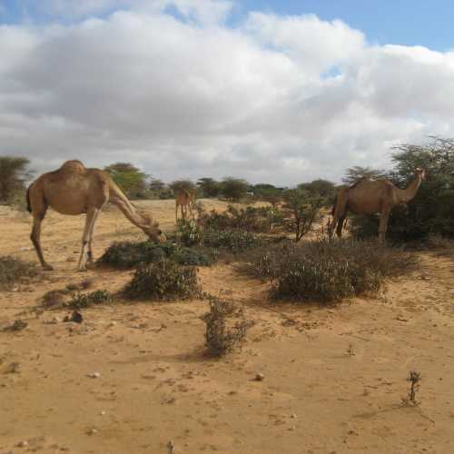 Ethiopia