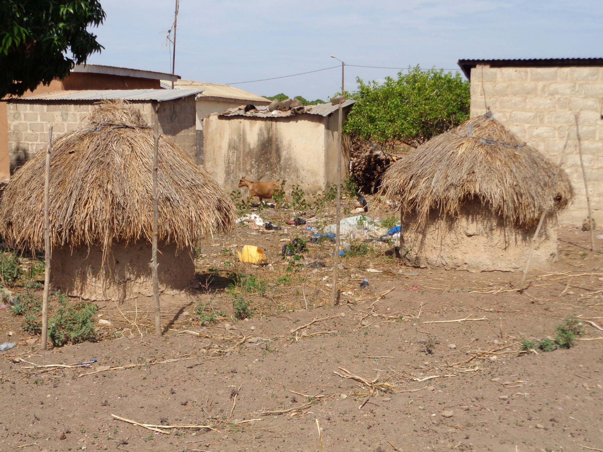 Cote D'Ivoire