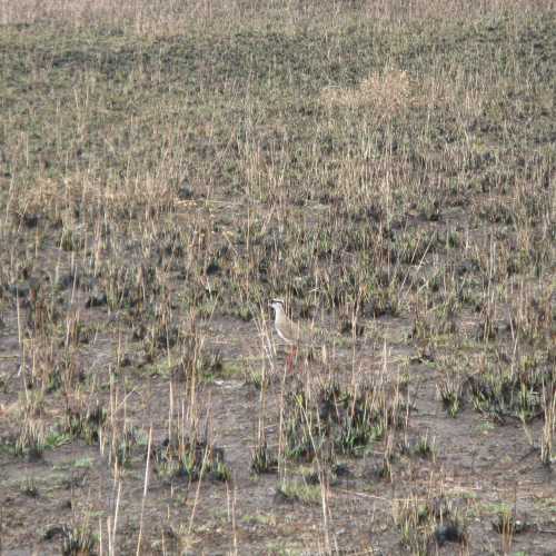 Ethiopia