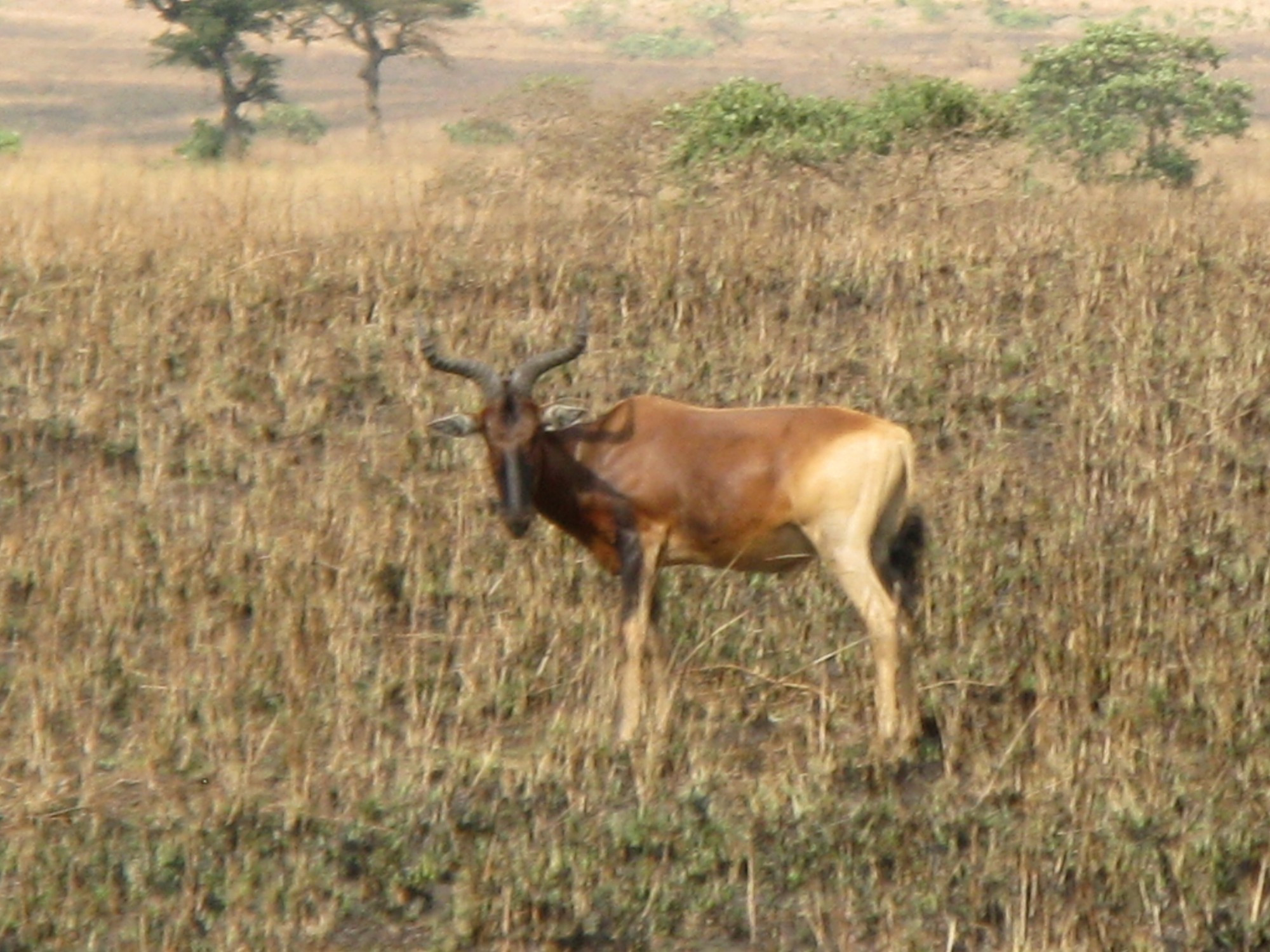 Ethiopia