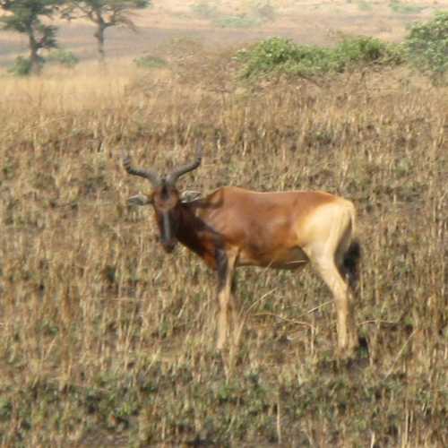 Ethiopia