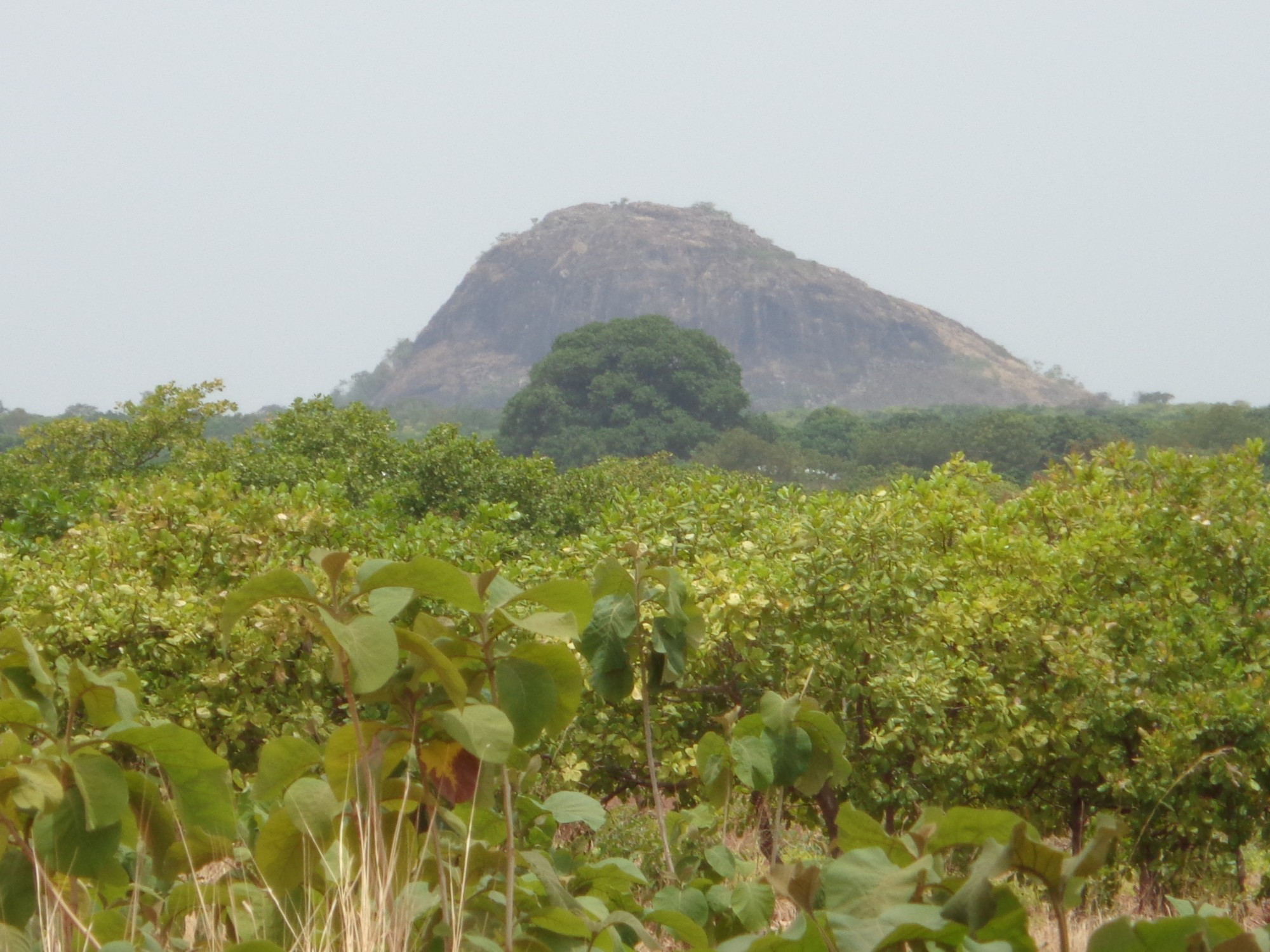 Cote D'Ivoire