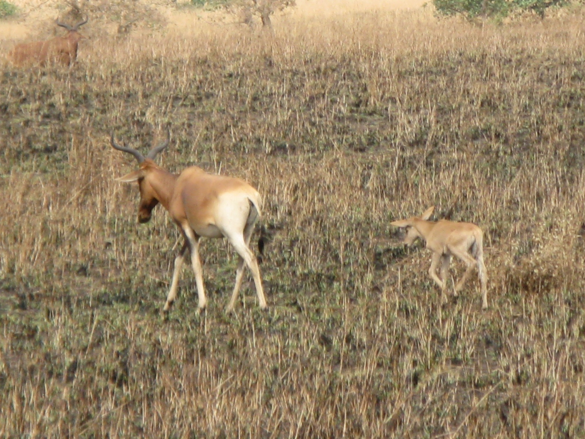 Ethiopia