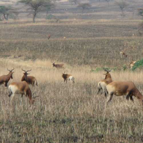 Ethiopia