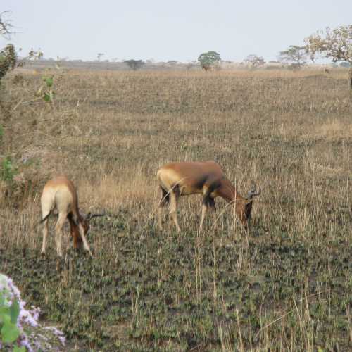 Ethiopia