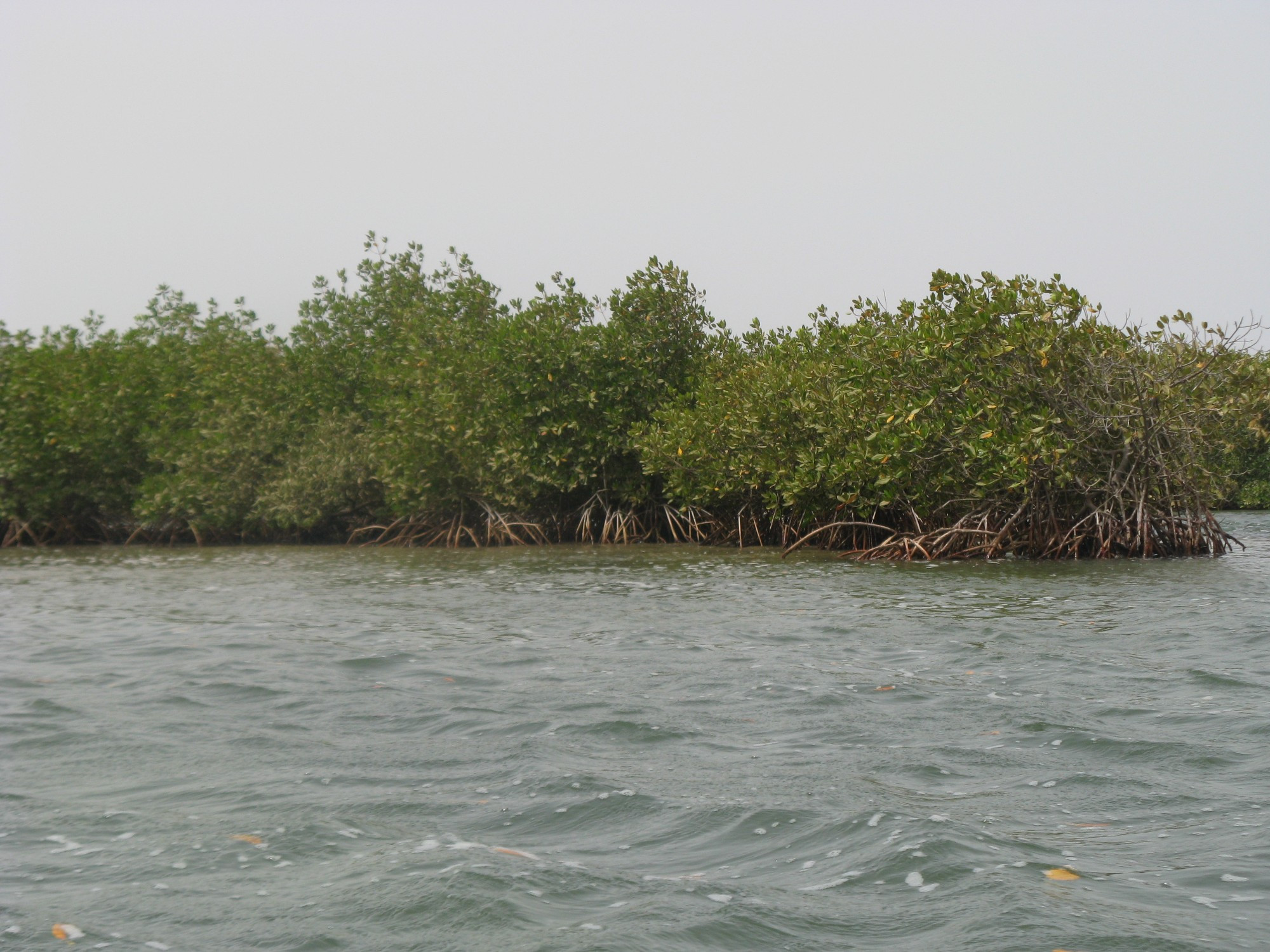 Senegal