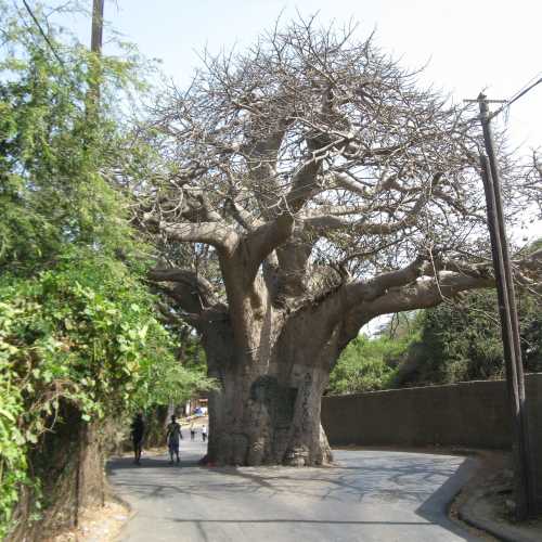 Senegal