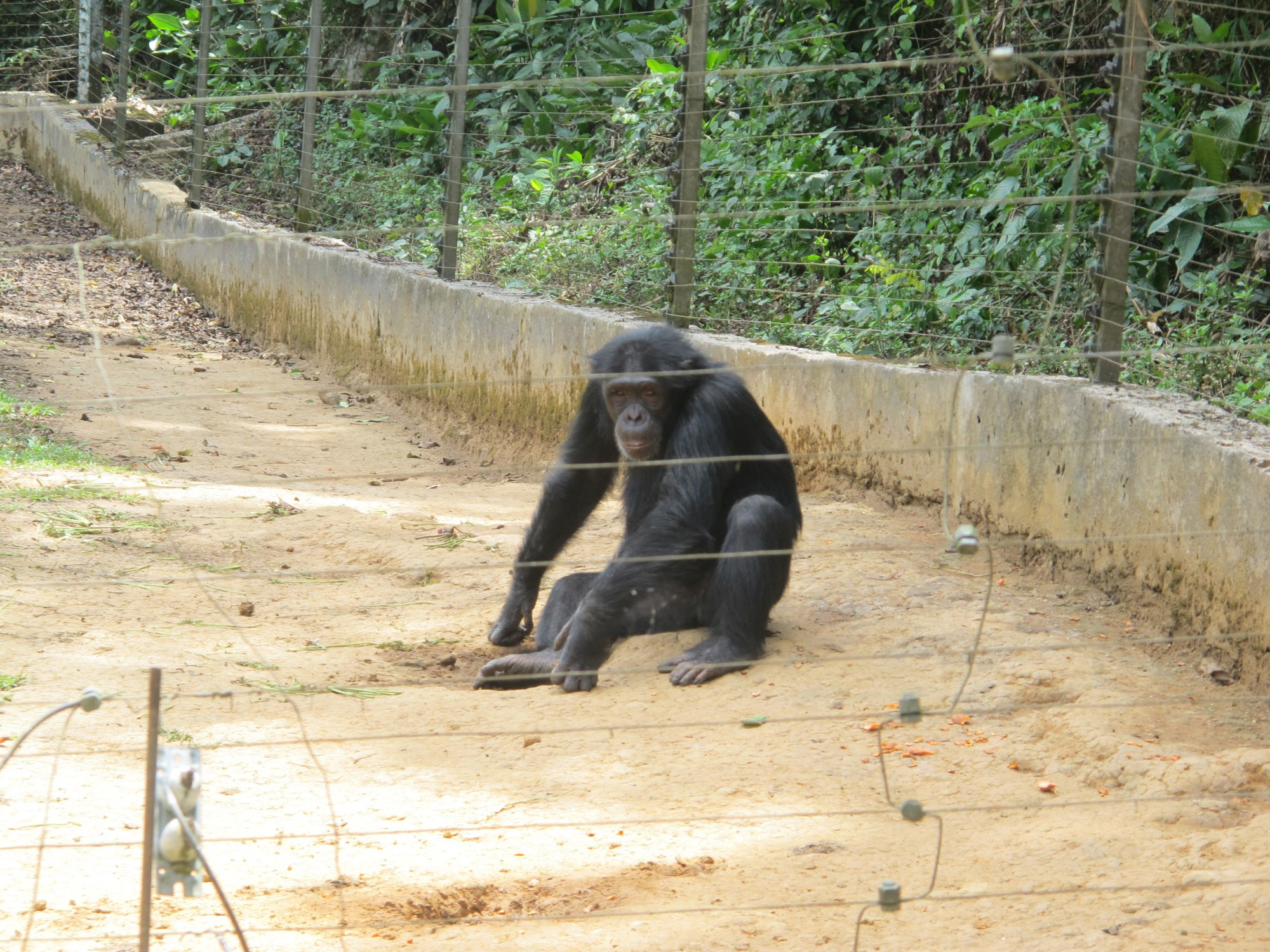 Cameroon