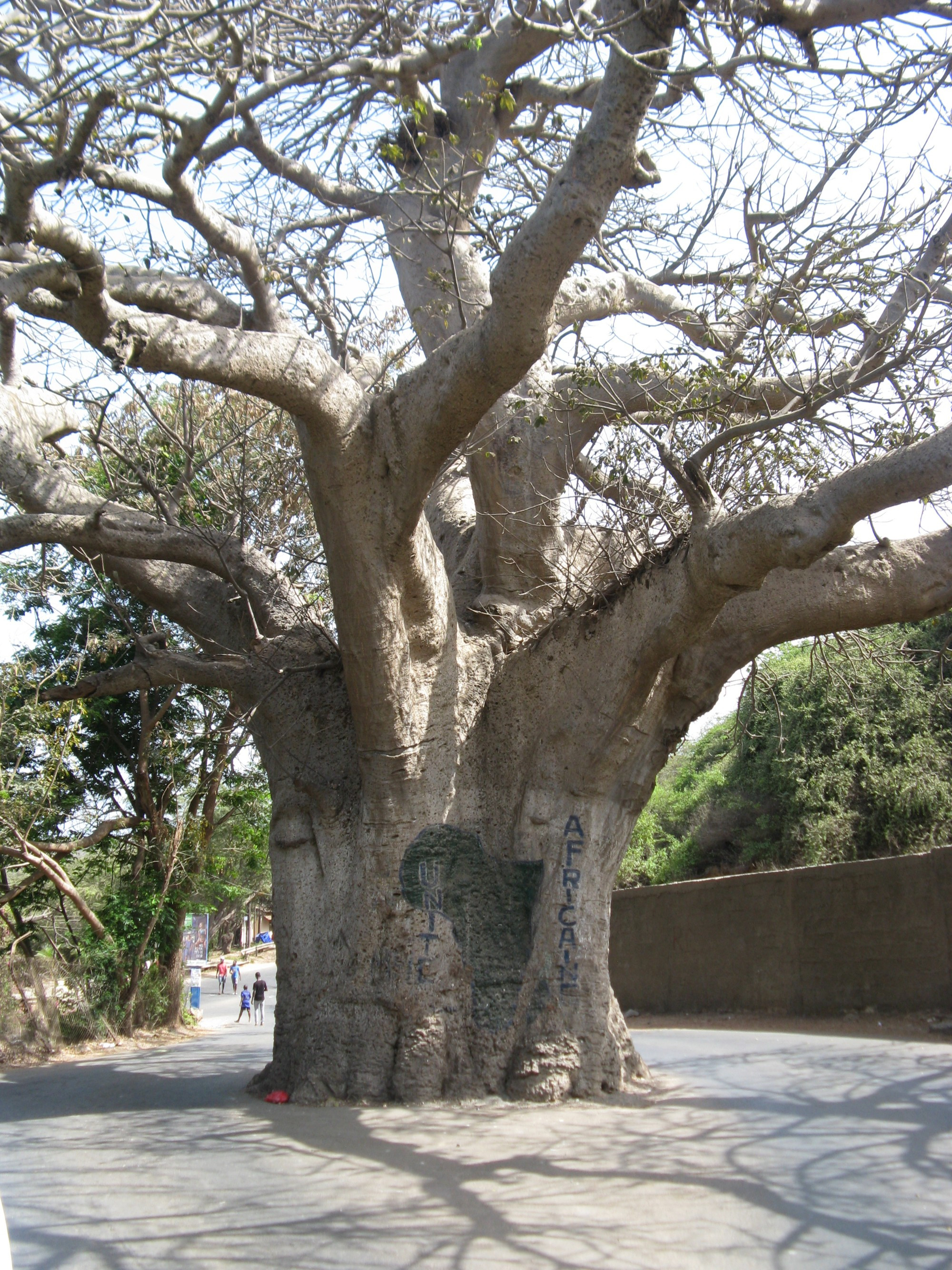 Senegal