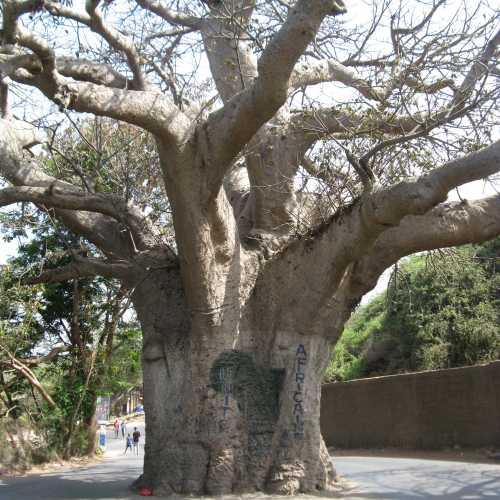 Senegal