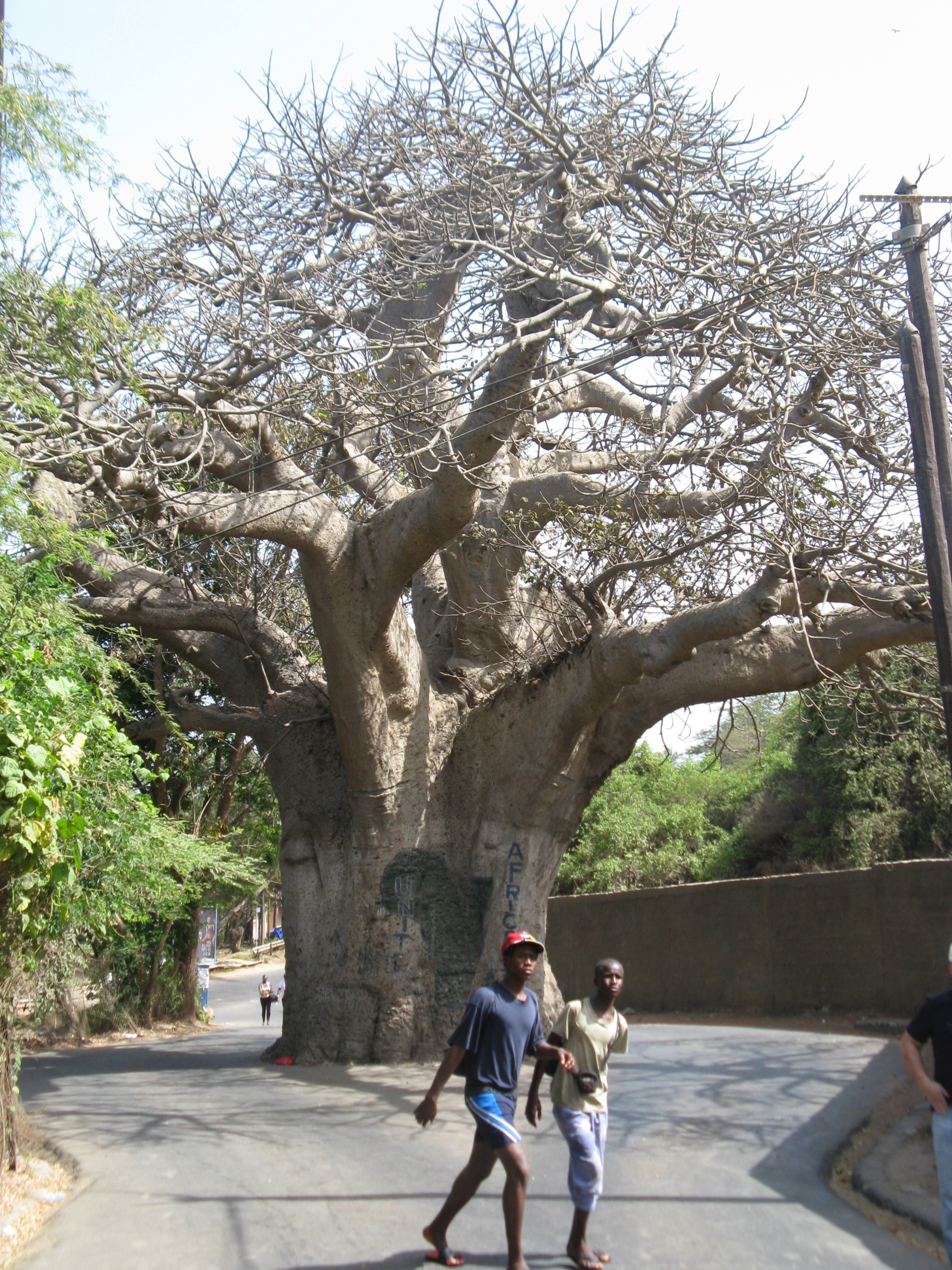 Senegal