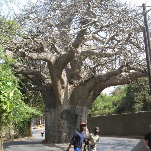 Senegal