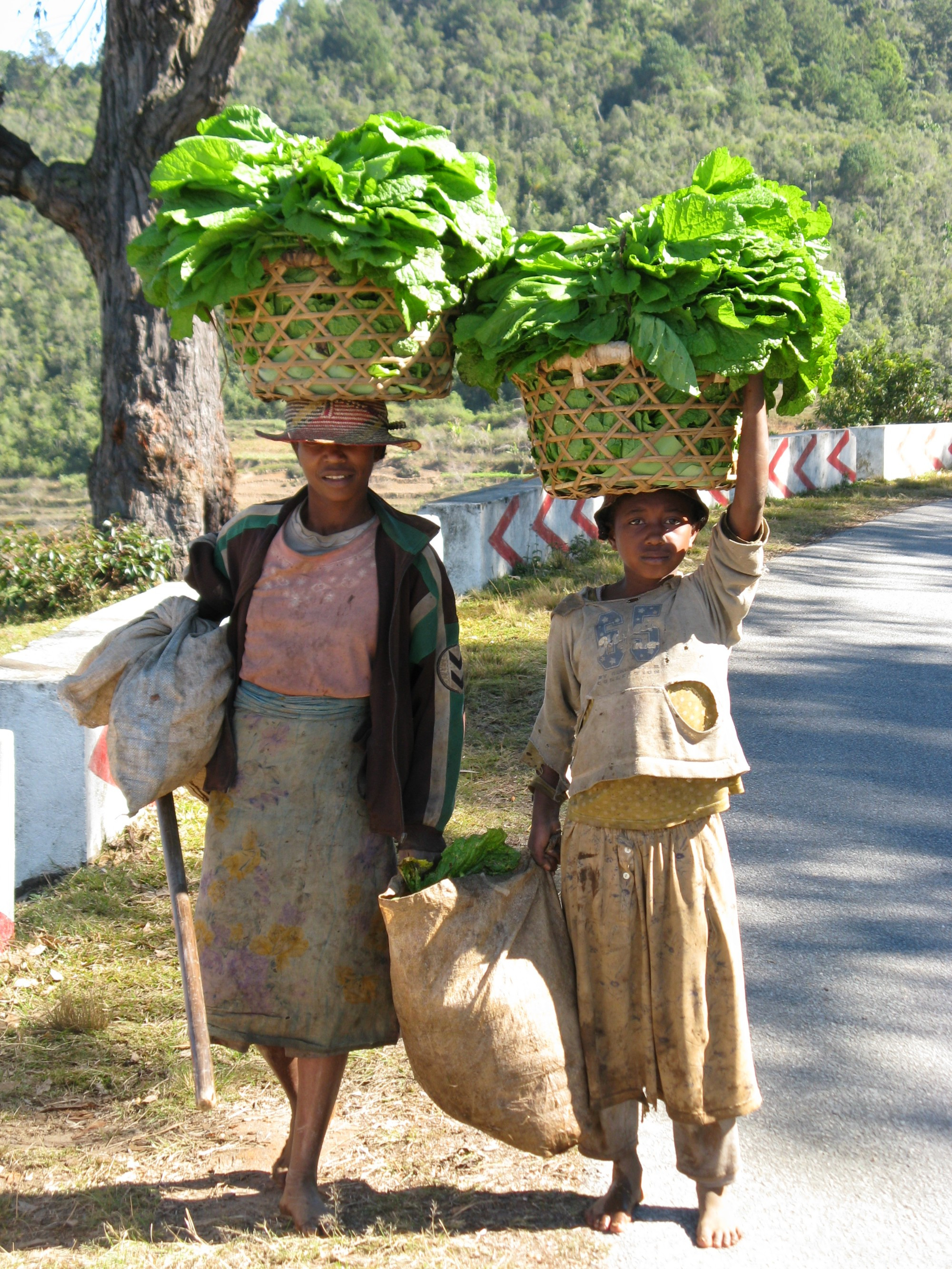 Madagascar