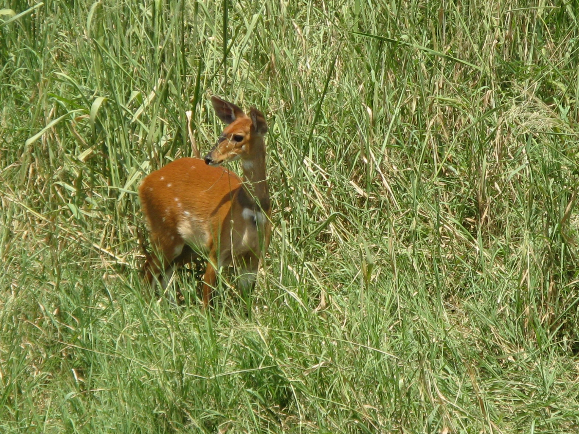 Tanzania