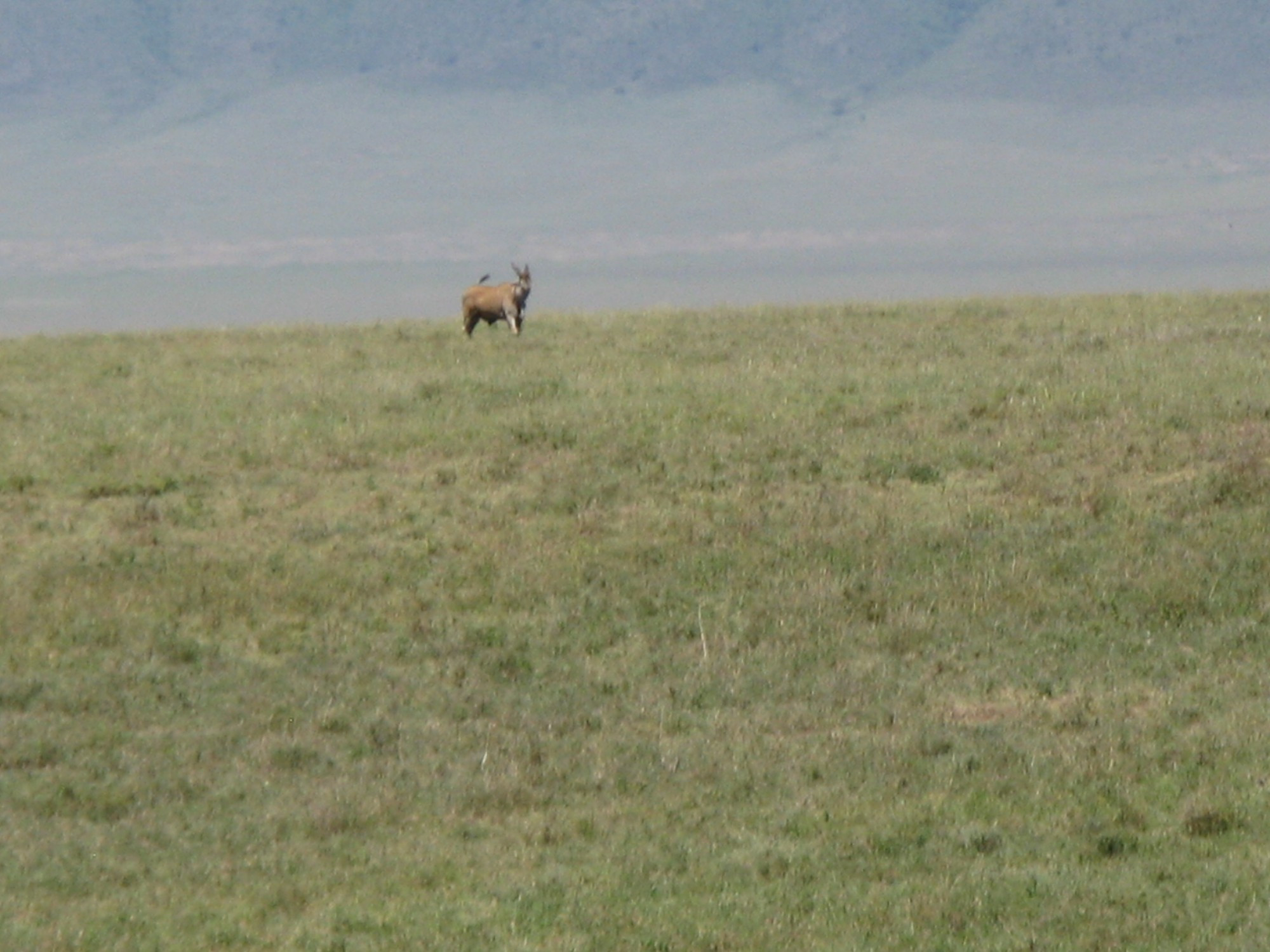 Tanzania