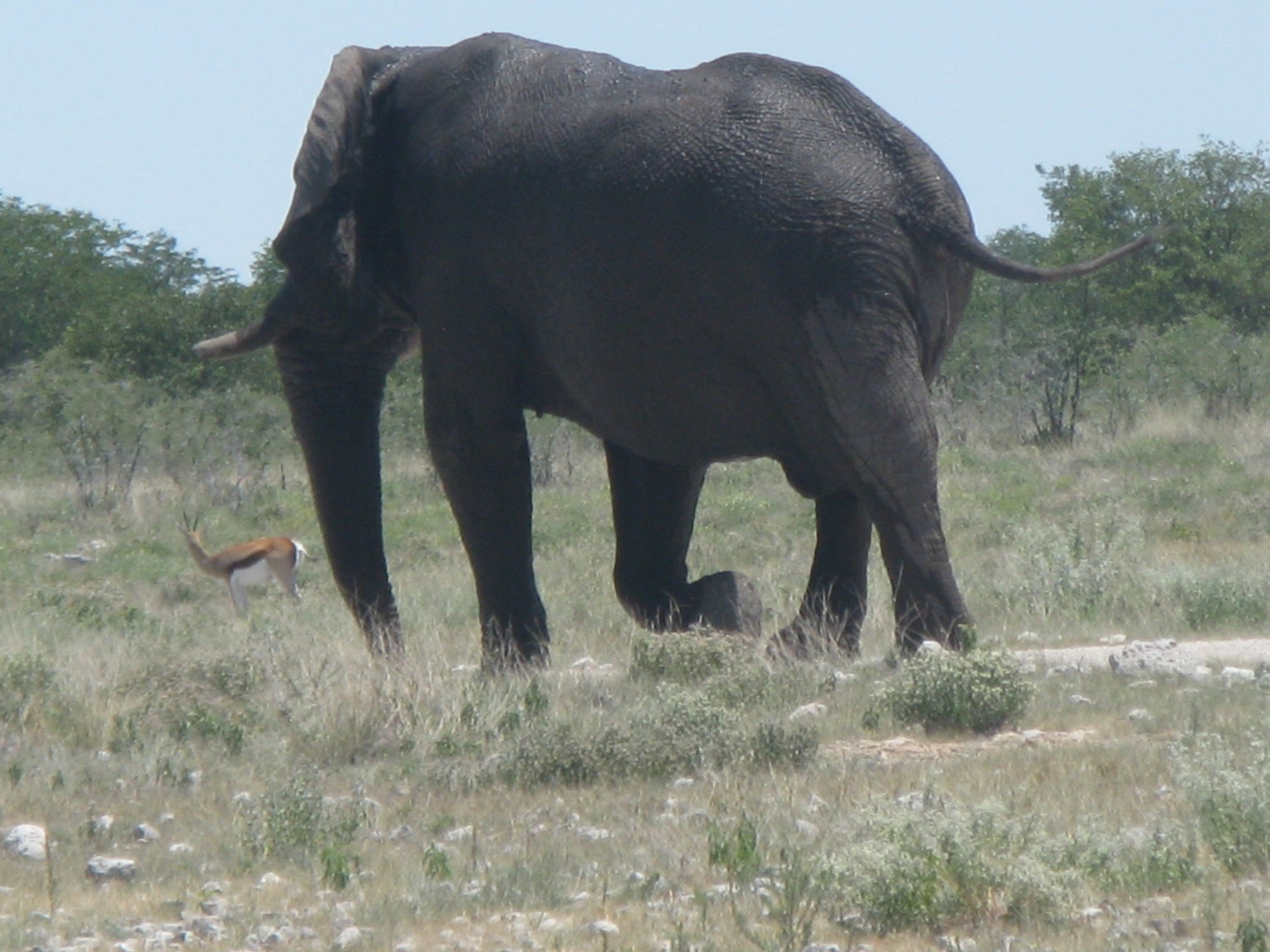 Namibia