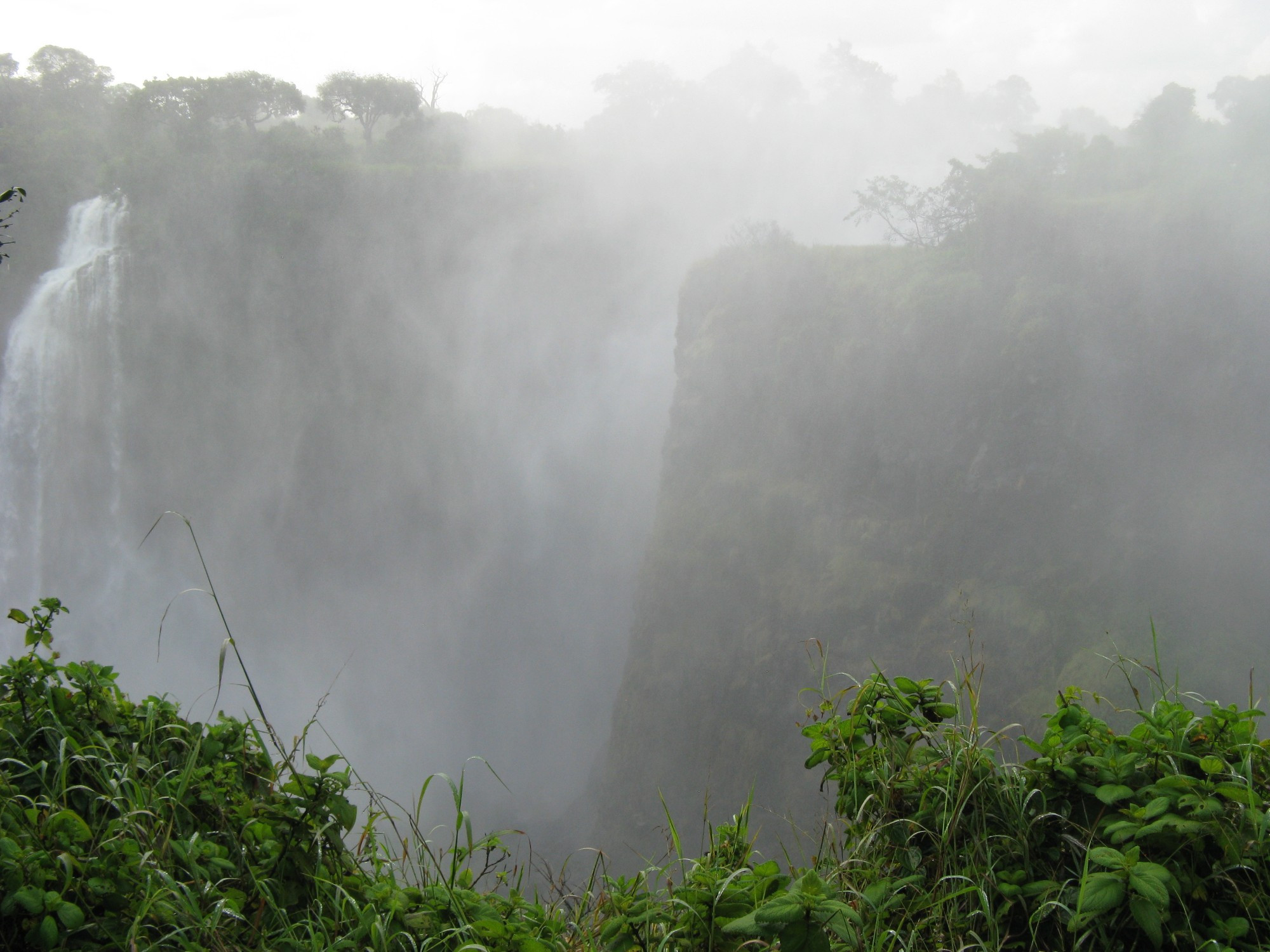 Zambia