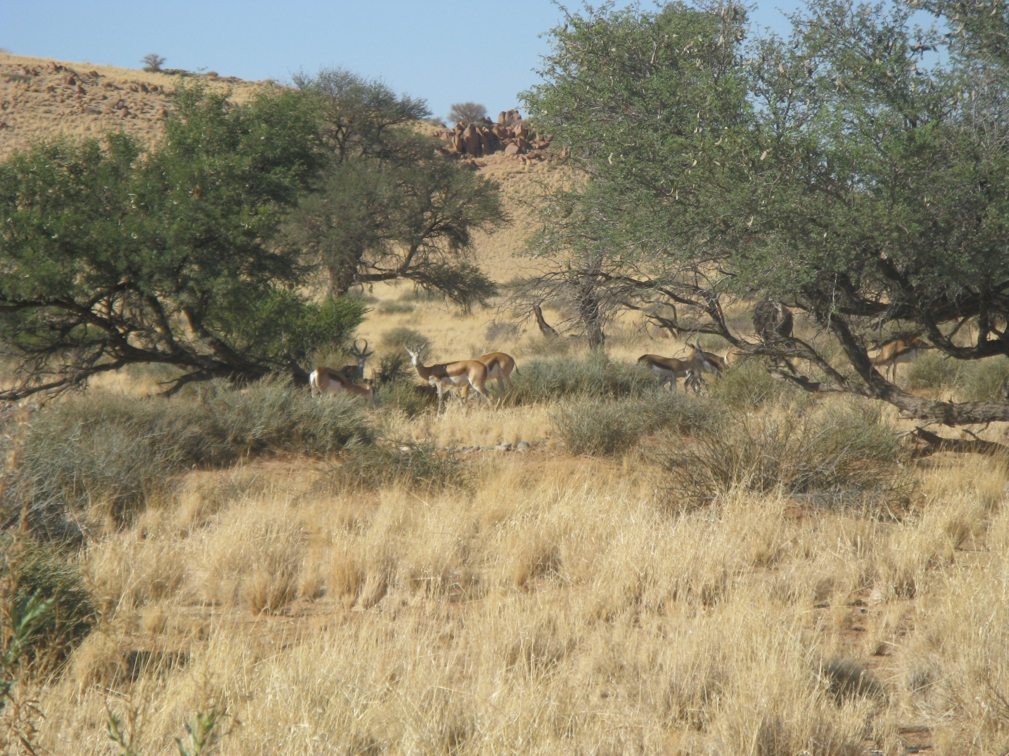 Namibia