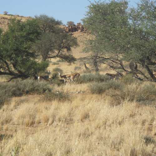 Namibia