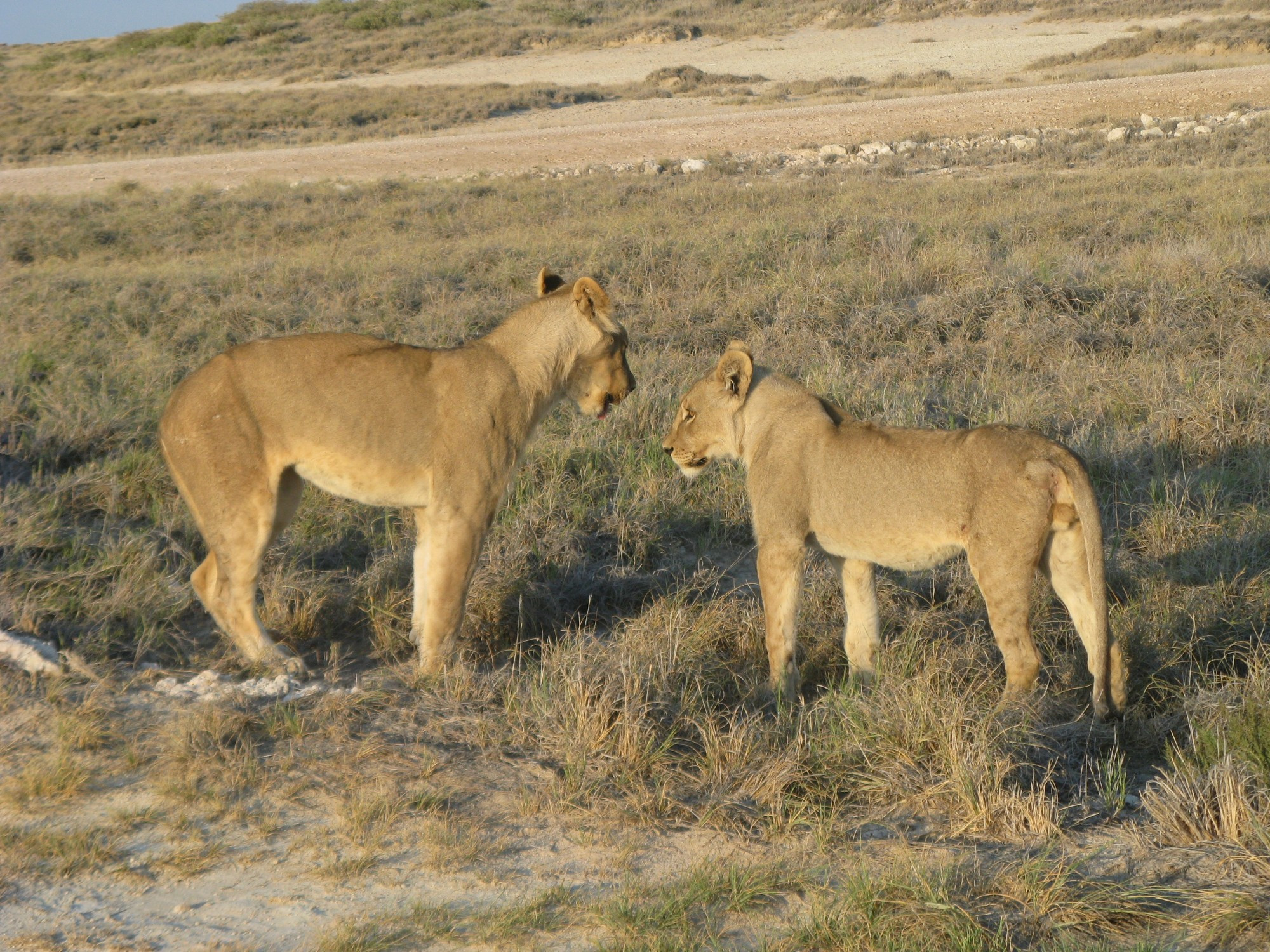 Namibia