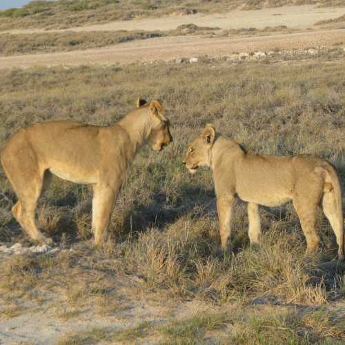 Namibia